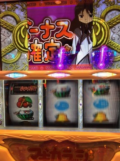 image-7a7d3.jpeg